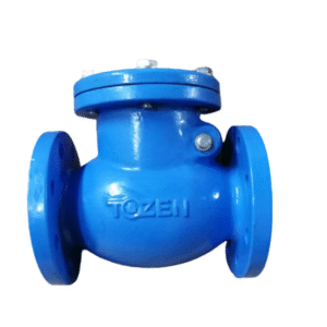 SWING CHECK VALVE