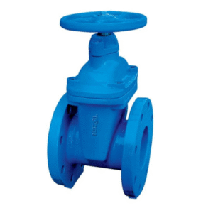 DUCTILE IRON RESILIENT SEAT GATE VALVE (TYPE A)