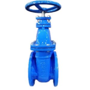 IRON GATE VALVE