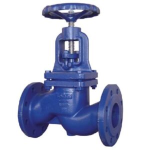 GLOBE VALVE